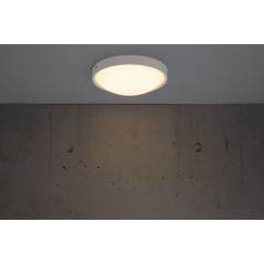 Altus Plafond